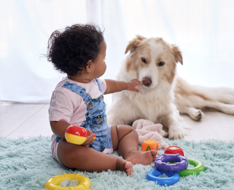 baby touching pet dog