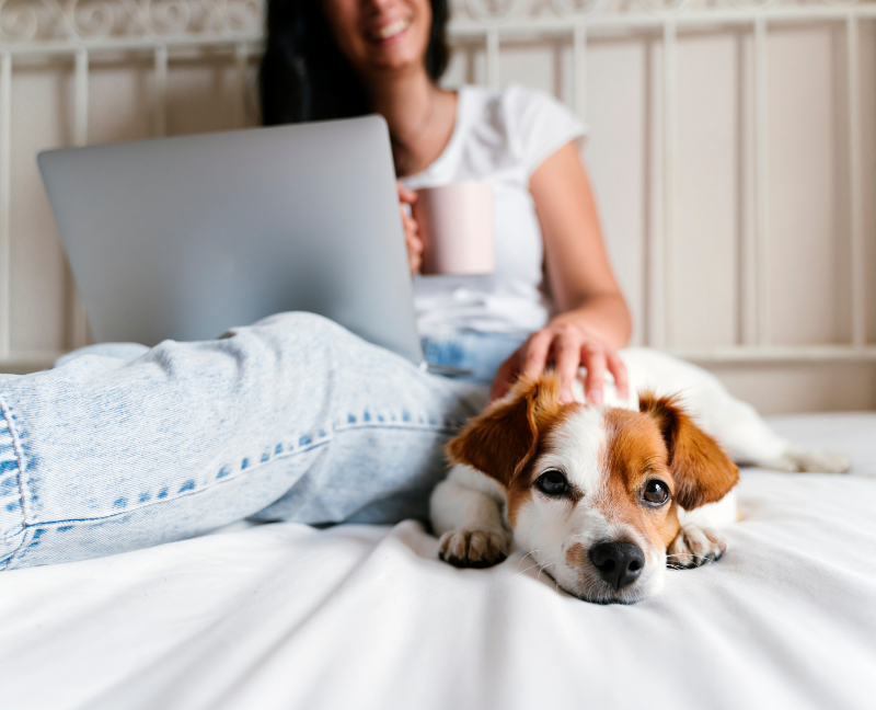 woman with laptop petting puppy