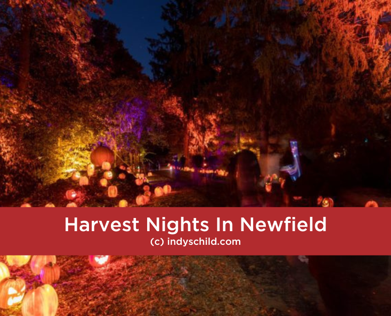 Harvest Nights In Newfield