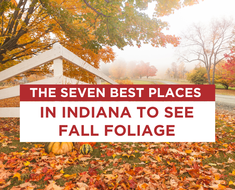 the seven best places in indiana to see fall foliage