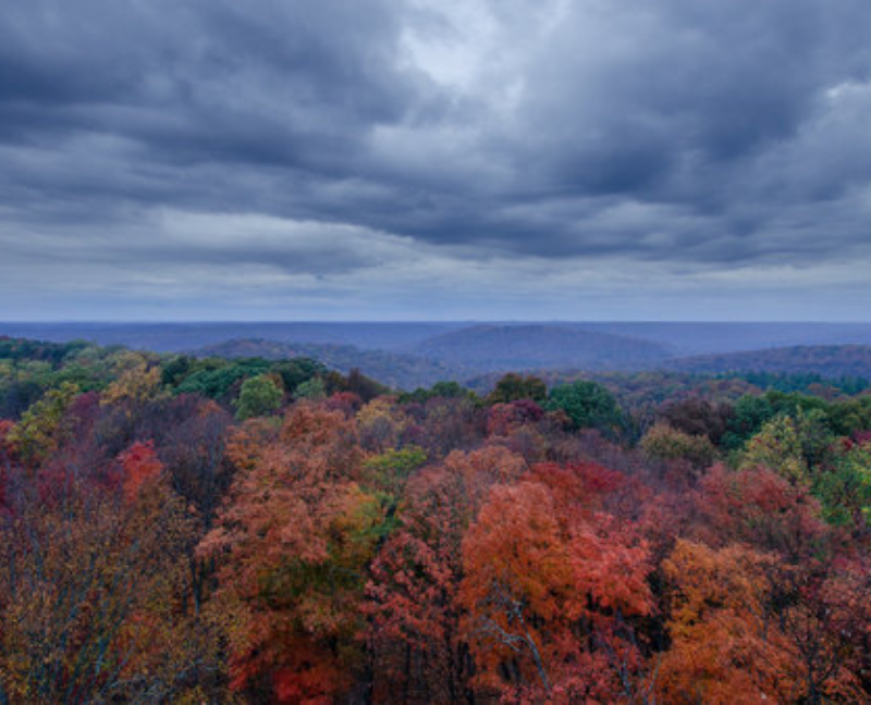 Harrison-Crawford State Forest - discoversouthernindiana.com